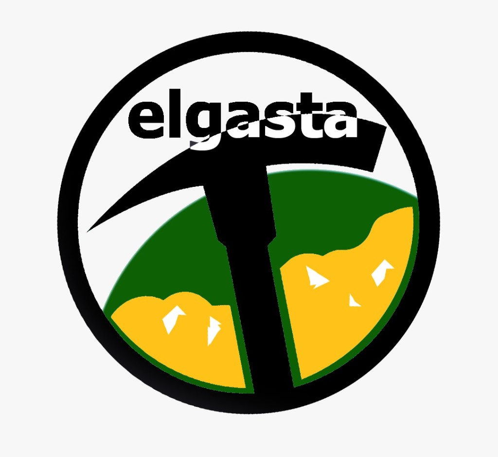 Elgasta